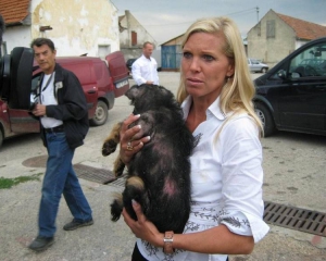 Принцесса приехала в Киев спасать бездомных животных