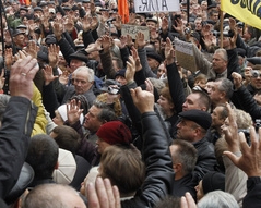 Кужель призвала митингующих идти в Украинский дом. Ее назвали провокаторшей