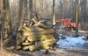 Суд наплевал на Януковича и дал добро на вырубку леса под Коцюбинским