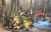 Суд наплював на Януковича і дав добро на вирубку лісу під Коцюбинським