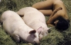 Гола корейська художниця заснула поруч зі свинями