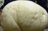 На луках  Великої Британії знайшли гігантського гриба діаметром 70 см