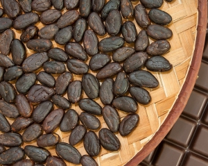 Європейська криза опустила ціни на какао до мінімуму за 3 роки