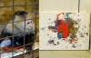 Мавпа з Торонто малює абстрактні картини по 300 доларів