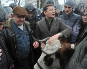 Из-за киевского &quot;Беркута&quot; у коровы Карины упали надои