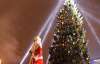 Різдвяну ялинку в Італії освітлює електричний вугор