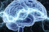 Ученые научились переписывать новые знания с компьютера в мозг