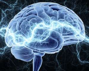 Учені навчились переписувати нові знання з комп&#039;ютера у мозок