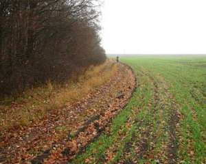 В Україні зіпсувалося ще півмільйона гектарів озимих