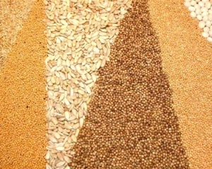 Украина продала за границу уже 8,1 миллиона тонн зерна