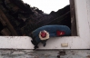 Таинственная смерть крымского сапера: досадная ошибка или убийство