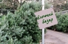 Чіпи на ялинках виявились звичайними бирками за 1,3 грн
