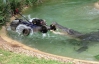 Австралійський крокодил Елвіс вкрав газонокосарку та годину охороняв її