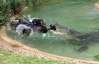 Австралийский крокодил Элвис украл газонокосилку и час охранял ее