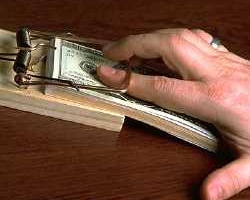 Депутата Васильковского горсовета поймали со взяткой