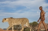 Ступні спринтерів мають схожі риси з лапами гепардів - вчені