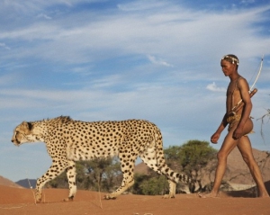 Ступні спринтерів мають схожі риси з лапами гепардів - вчені