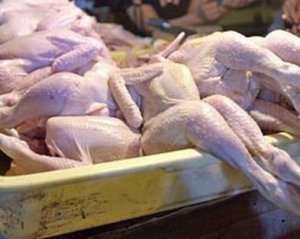 В українській курятині знайшли небезпечну бактерію