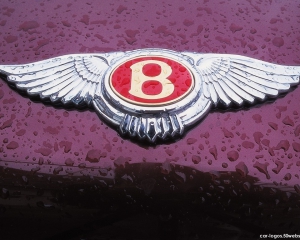 Невідомий нашкодив у столичному автосалоні Bentley