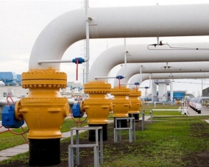 Уменьшать объемы российского газа нужно было еще в 2010 году - нардеп