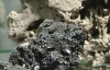 Марсіанський метеорит, що впав у Марокко, коштує в 10 разів дорожче золота