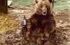 Ведмедю-герою, що курив сигарети і пив пиво, встановлять пам'ятник