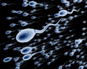 Ученые нашли новый способ контрацепции для мужчин