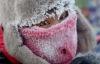 Київські школи закриють з 1 лютого через сильні морози