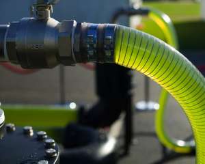 Ученые создали бензин из водорослей