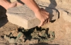 На Рівненщині чиновники погоріли на приватизації археологічної пам'ятки