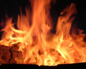 Пожежа на Миколаївщині: Сім дітей отруїлися димом у власному будинку