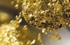 В України високий потенціал видобутку золота - експерт