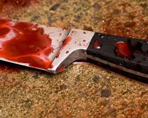 На Вінниччині цигани вбили охоронця заради металобрухту