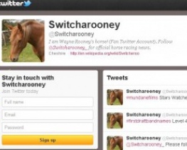 На коня Уэйна Руни в Twitter подписались более 500 человек