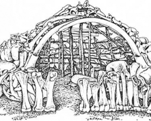 Древнейшее сооружение из костей мамонтов нашли в Украине