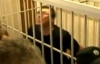 Луценко успел плюнуть прокурору в лицо