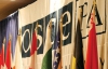Правозахисники ОБСЄ: вирок Луценку фактично є покаранням без закону