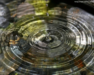 На пляжі в Запоріжжі знайшли труп чоловіка, який пропав 2 роки тому