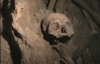 Мексиканські селяни знайшли поховання племені майя