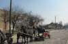 Гонки на телегах в Ивано-Франковске привлекали внимание к разбитым дорогам