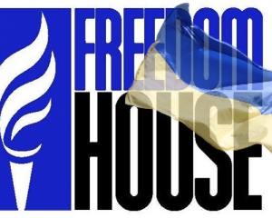 Янукович знищує будь-яку життєздатну опозицію - Freedom House 