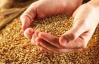 Аграрный фонд начал закупать у аграриев зерно