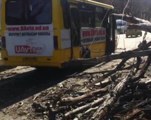 В Одессе дерево упало на маршрутку с пассажирами