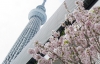 В Токио достроили самую высокую телебашню в мире