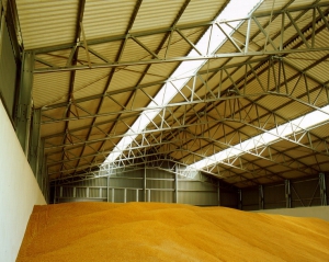 Украина нарастила запасы зерна на 70%