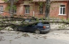 В Крыму возле здания СБУ дерево раздавило "Фольксваген"