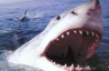 Через знімальну групу National Geographic акула розтерзала серфінгіста