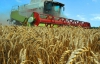 Україна майже удвічі збільшила продаж зерна за кордон