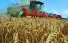 Украина почти вдвое увеличила продажи зерна за границу