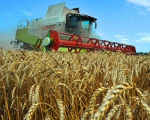 Украина почти вдвое увеличила продажи зерна за границу